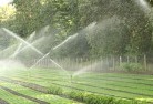 Errinundralandscaping-water-management-and-drainage-17.jpg; ?>